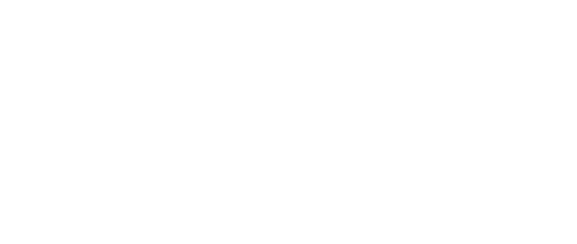 Amann Logo